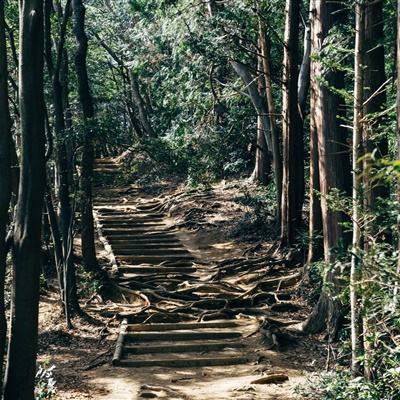 果盘魔域世界手游下载